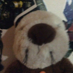 Meet your Posher, Kainoa